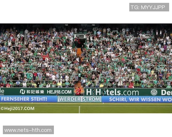 埃弗顿主场迎战热刺精彩回顾与赛后分析